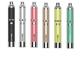 YOCAN EVOLVE-D PLUS - HERBAL