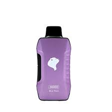 SEA BEAR X9 30000 PUFF - DESECHABLE
