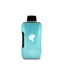 SEA BEAR X9 30000 PUFF - DESECHABLE