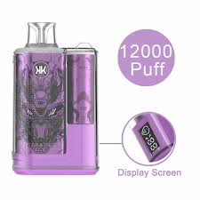 KK ENERGY 12000 PUFF Recargable DESECHABLE 5%